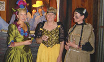 Medieval, Hawaian and Wild West Themed Events