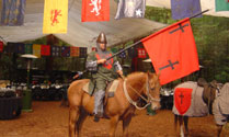 Medieval Themed Events