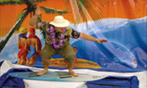 Hawaian Themed Events